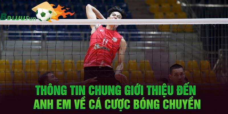 Cá Cược Bóng Chuyền Trưc Tuyến - Cách Cá Độ Bóng Chuyền