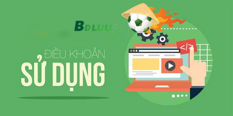 Điều Khoản Sử Dụng Dữ Liều Website bdluu.fun